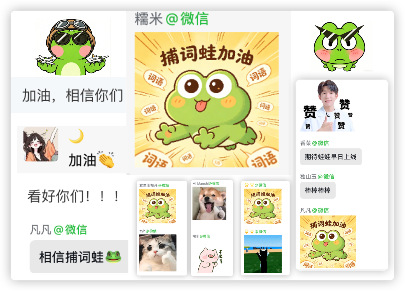用户评论截图 5